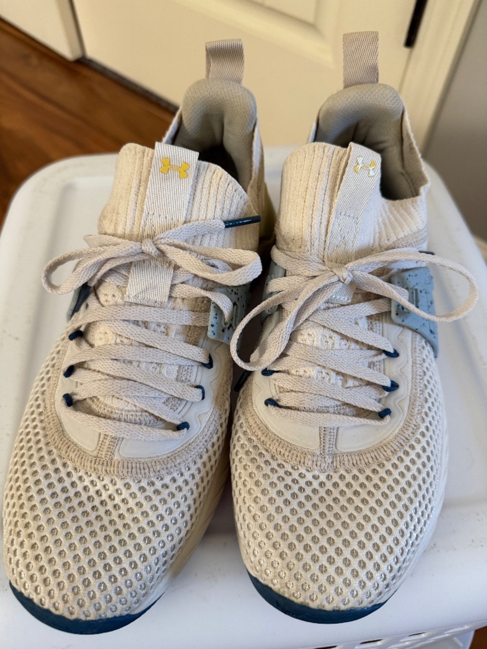 Under Armour Workout shoes
